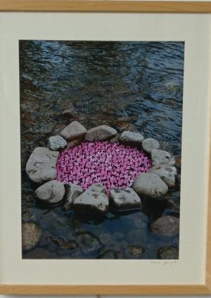 illustration texte land art