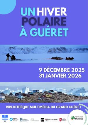 affiche un hiver polaire